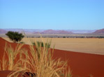 dunes de Sesriem - Namibie