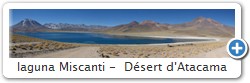 laguna Miscanti -  D�sert d'Atacama