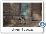 chien Tupiza